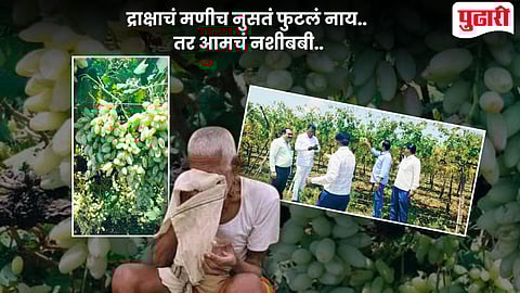 Hailstorm Sangli News