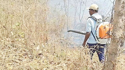 Palghar forest fire