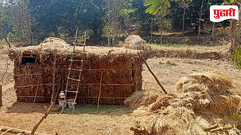 Rural Livestock Maharashtra