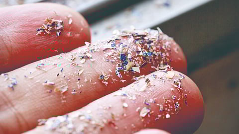 Microplastics human body