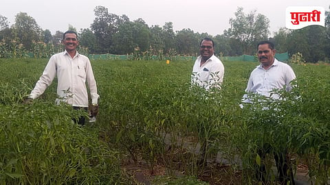 Roha Farmer Success