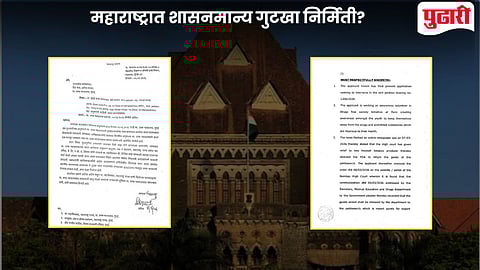 Maharashtra Gutkha Production