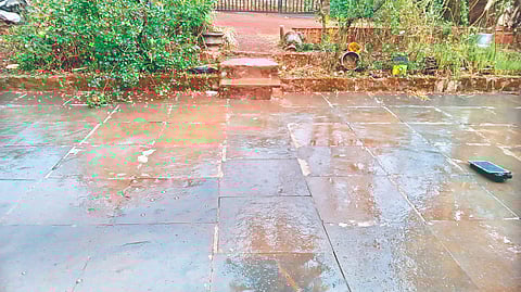 Ratnagiri weather update