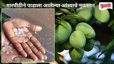 Devgad Unseasonal Rain