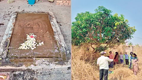 Dr. Jaysingrao Pawar |