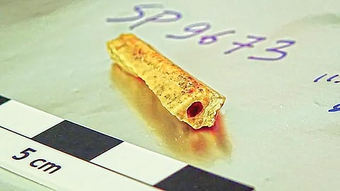 Ancient Human Relatives |