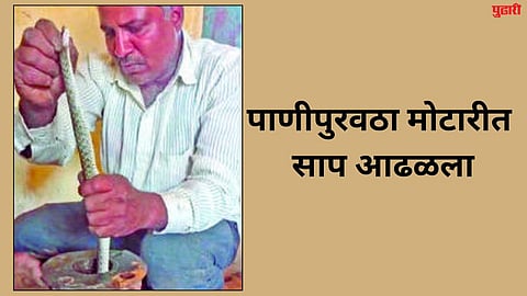 Snake found in water supply pump.