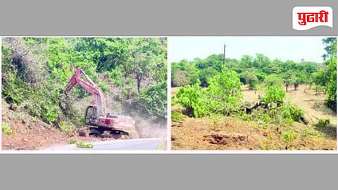 Varandha Ghat Tree Cutting