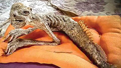 Japan mummy auction |