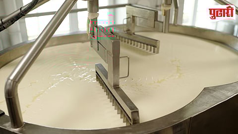 Milk Production