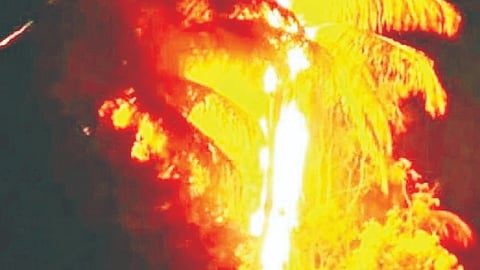 Solapur unseasonal rain: दक्षिण तालुक्याला अवकाळीने झोडपले