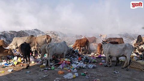 Washim Garbage management issues