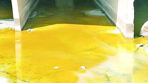 Nagzhari riverbed Chemicals dumped