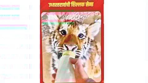 kolhapur | उद्धवरावांची शिल्लक सेना... मोबाईल स्टेटसने चर्चेला उधाण