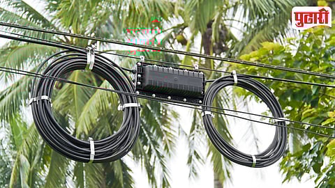Fiber Cable