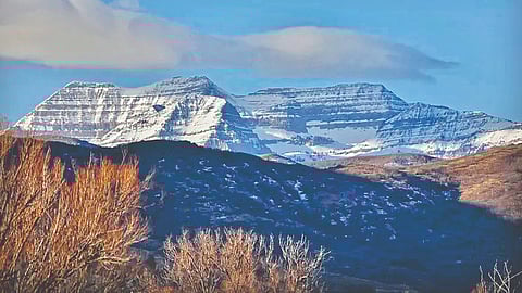 Glacier melting warning |