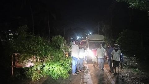 Kolhapur Accident : शिरढोणमध्ये काळजाचा ठोका चुकला! धावत्या दुचाकीवर कोसळले झाड; तरुण गंभीर जखमी