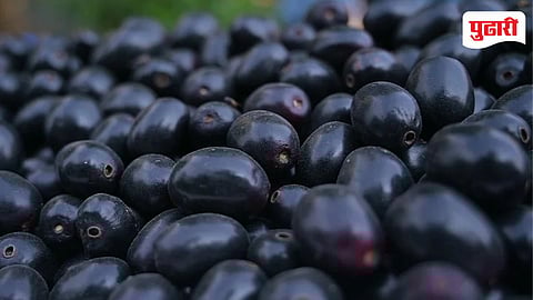 Pune Jamun Market