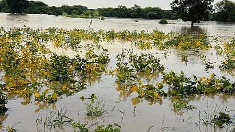 Solapur hailstorm | मार्च गारपीट : 2500 हेक्टर बाधित