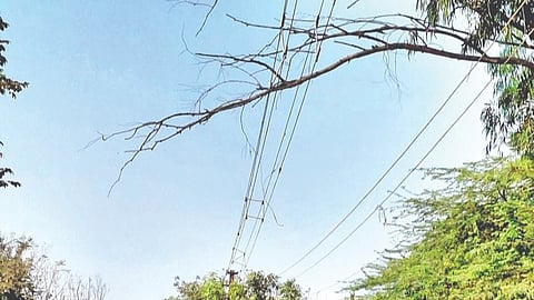 Karmala electricity issue