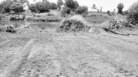 Miraj illegal soil extraction