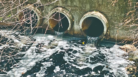 Rankala Lake pollution