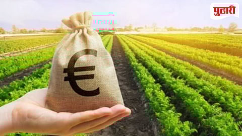 Parbhani news| खरीप २०२५ मधील अतिवृष्टी पिक विमा भरपाई मिळणार कधी?