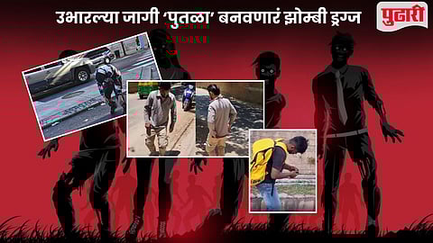 Zombie Drug Explainer