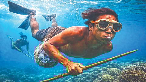 Bajau tribe divers |