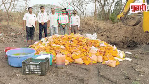 Adulterated Mango Pulp