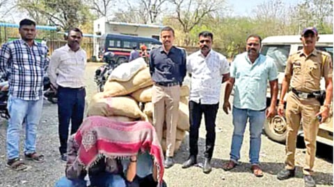 illegal tobacco seizure