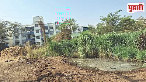 Talegaon Dabhade Fodder Shortage