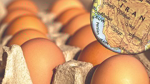 Iran inflation crisis | इराणमध्ये एक अंडे सव्वा लाखाचे, एक लिटर दूध 8 लाखांचे!