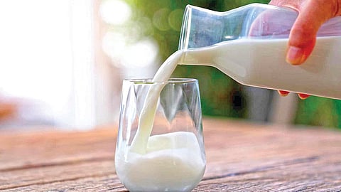 Milk benefits summer |