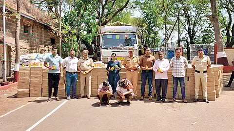 (छाया : नाज ट्रेनर)