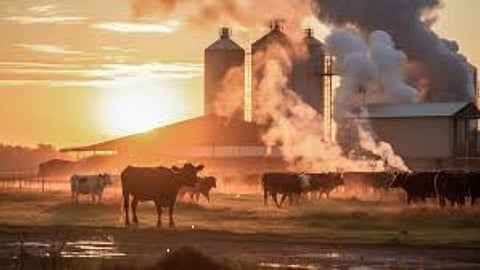 global warming causes farming