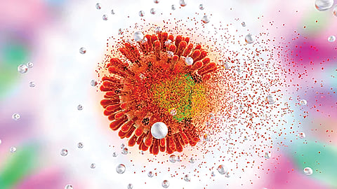 HIV cure stem cell transplant