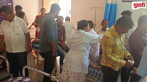 Radhanagari Yelwade Bee Attack