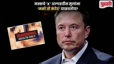 Elon Musk X Platform