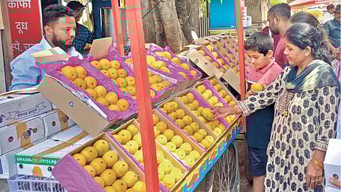 Ratnagiri Devgad Hapus |