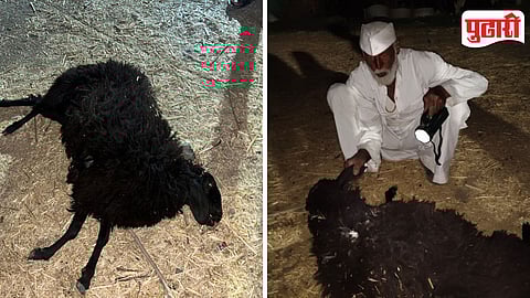 Narayangaon Truck Accident