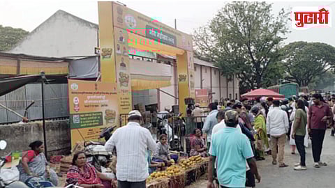 Mango Festival Illegal Vendors