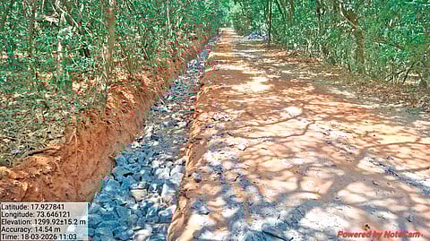 Mahabaleshwar excavation case