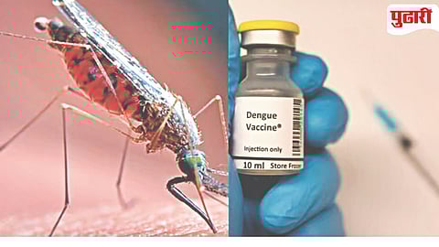 Dengue Vaccine