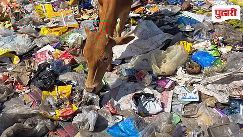 Poladpur Garbage Issue