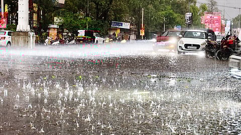 Sangli unseasonal rain