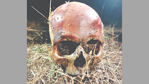 Shikhar Shinganapur crime