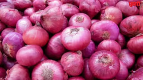 onion farmers crisis
