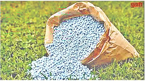 Fertilizer availability
