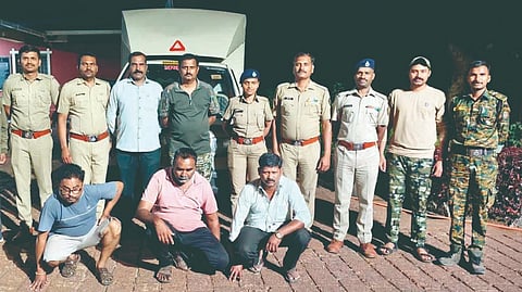 Mahabaleshwar Crime: महाबळेश्वरमध्ये विनापरवाना खैर लाकूड वाहतूक; दोघे ताब्यात